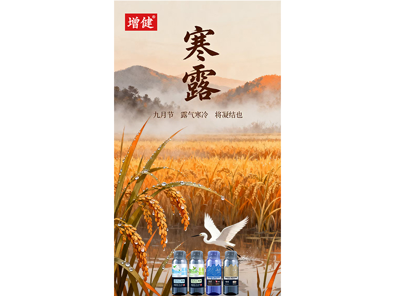 夜露凝寒 萬(wàn)物皆秋